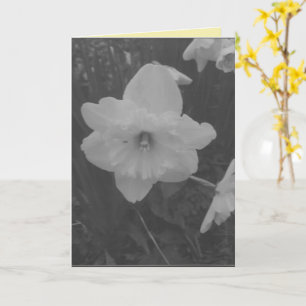 Cartão Wild Daffodil