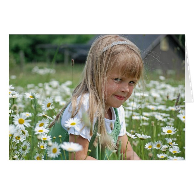 Cartão Wild Daisies (Frente horizontal)