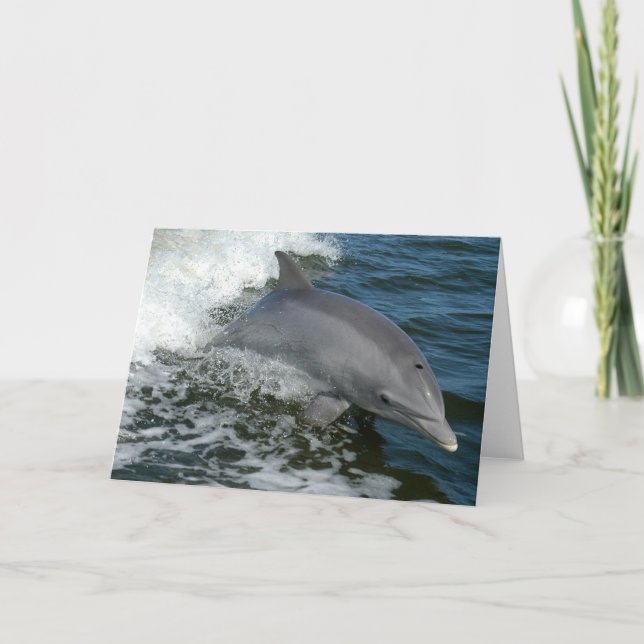 Cartão Wild Dolphin Greeting Card (Frente)
