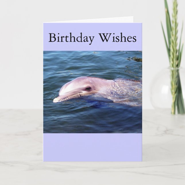 Cartão Wild Dophin (Frente)