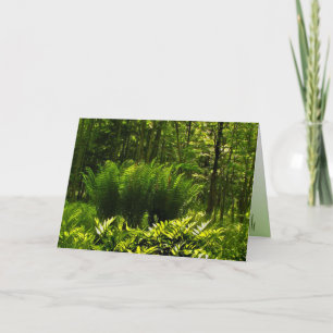 Cartão Wild Fern Abstract Birthday