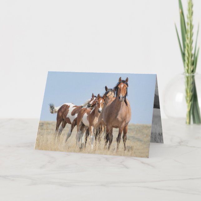 Cartão Wild Horse Family Leans Wild Horse Greeting Card (Frente)