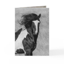 Wild Horse Greeting Card - Washakie on Fire