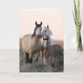 Cartão Wild Horse Greeting Card - Wild Family Before Dawn