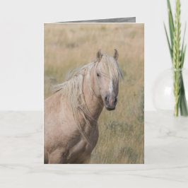 Cartão Wild Horse Greeting Card - Wild Palomino Stallion