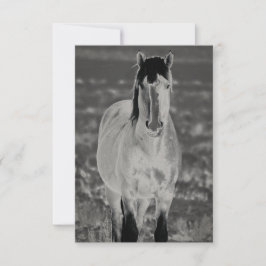 Cartão WILD HORSE OF UTAH Flat Greeting Card