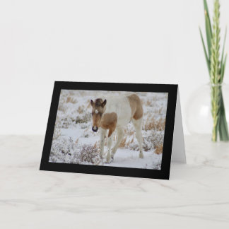 CARTÃO WILD HORSE OF UTAH FOAL ONAQUI GREETING CARD