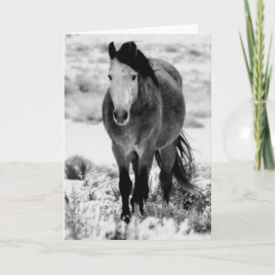 Cartão WILD HORSE OF UTAH Folded Greeting Card