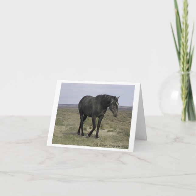 Cartão Wild Horse Photography Note Card Design 5 (Frente)