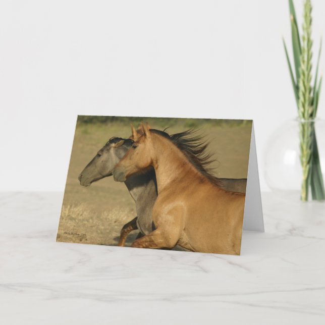 Cartão Wild Horses Returning to Freedom (Frente)
