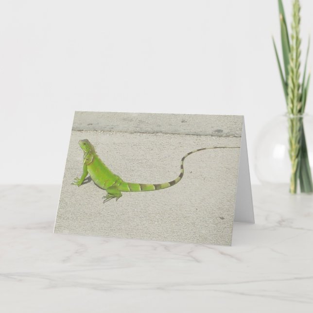Cartão Wild Iguana (Frente)