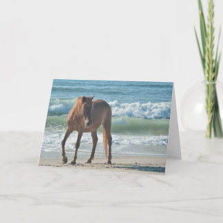 Cartão Wild island horse of Assateague note card