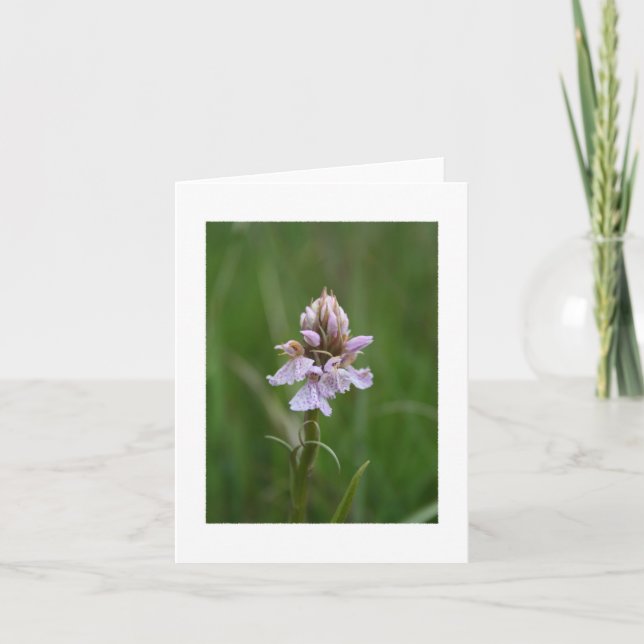 Cartão Wild Orchid Notecard (Frente)