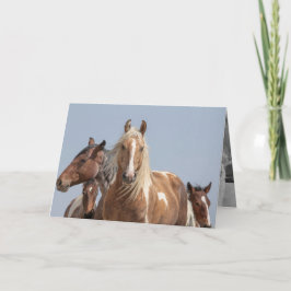 Cartão Wild Palomino Pinto Wild Horse Greeting Card