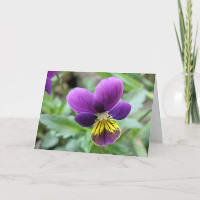 Cartão Wild Pansy Greeting Card (Frente)