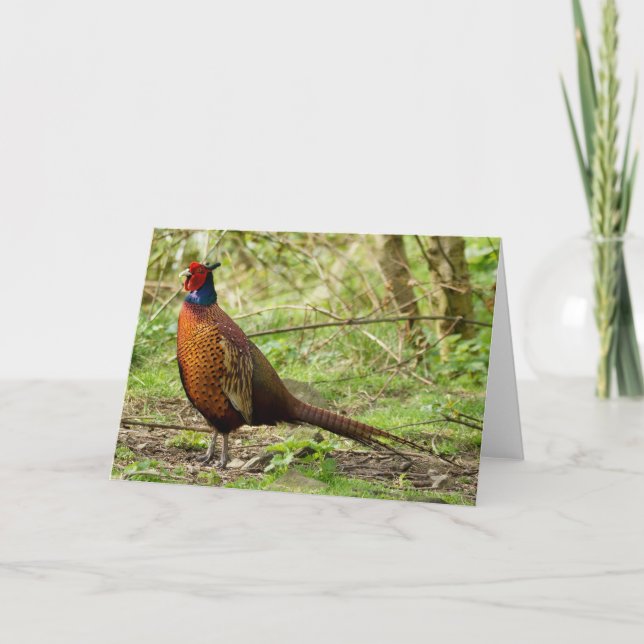 Cartão Wild Pheasant (Frente)