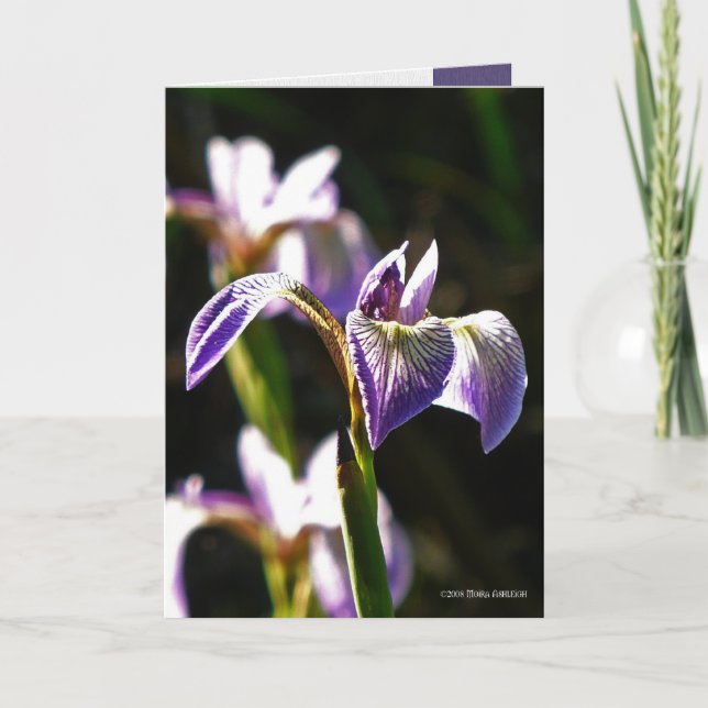 Cartão Wild Purple (Frente)