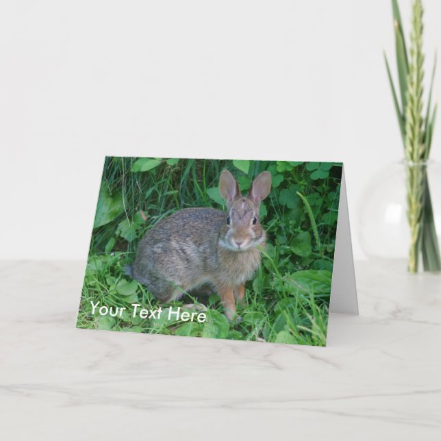 Cartão Wild Rabbit Animal Nature Photo Card (Frente)