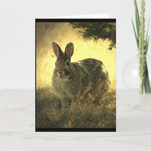 Cartão Wild Rabbits Greeting Card (Frente)