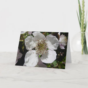 Cartão Wild Rose Blossom