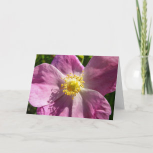 Cartão Wild Rose Notecard