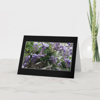 Cartão "Wild Spring"