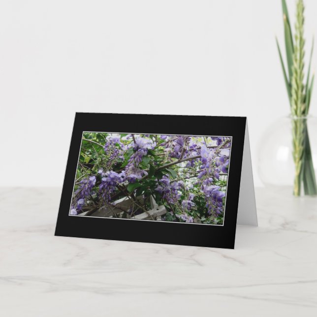 Cartão "Wild Spring" (Frente)