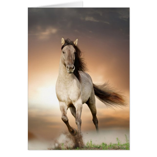 Cartão Wild Stallion Correndo Em Sunset (Frente)