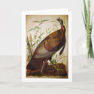 Cartão Wild Turkey, John James Audubon