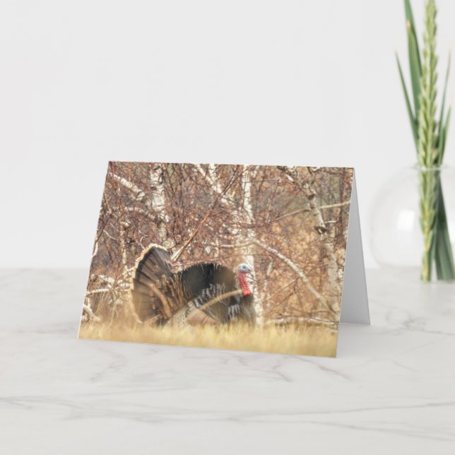 Cartão Wild Turkey Tom Note Card (Frente)