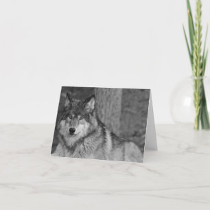 Cartão Wild Wolf Note Card