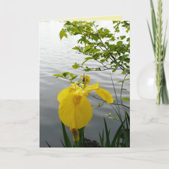 Cartão Wild Yellow (Frente)