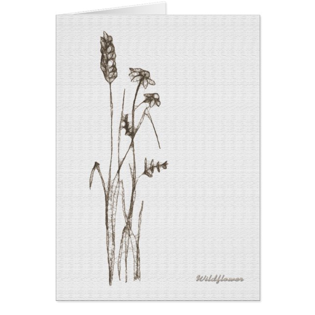 Cartão Wildflower (Frente)