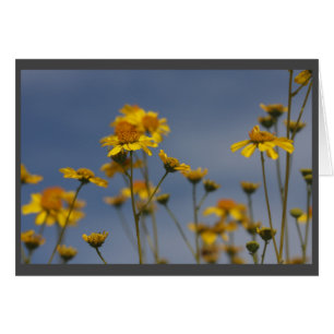 Cartão Wildflower amarelo do deserto