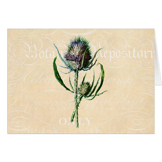 Cartão Wildflower da antiguidade do cardo do Scottish do (Frente Horizontal)