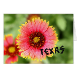 Cartão Wildflower de Texas