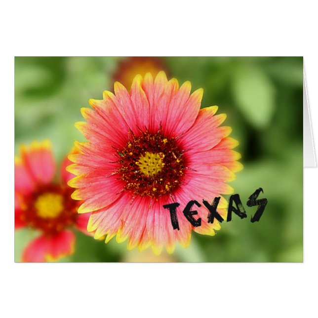 Cartão Wildflower de Texas (Frente horizontal)