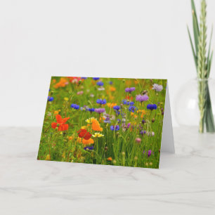 Cartão Wildflower Greeting Card