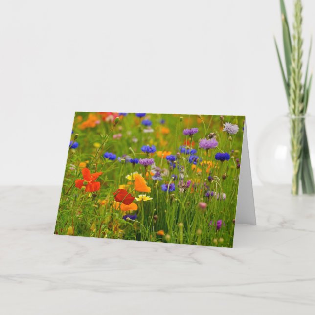 Cartão Wildflower Greeting Card (Frente)