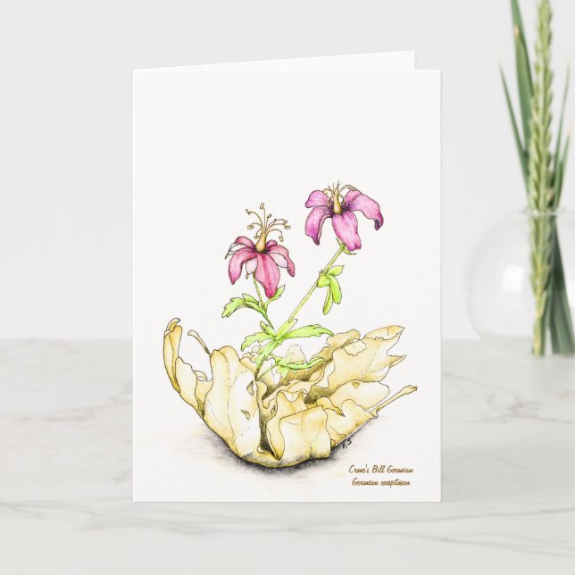 Cartão Wildflower watercolor geranium blank inside (Frente)