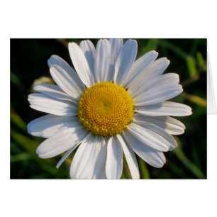 CARTÃO WILDFLOWERS