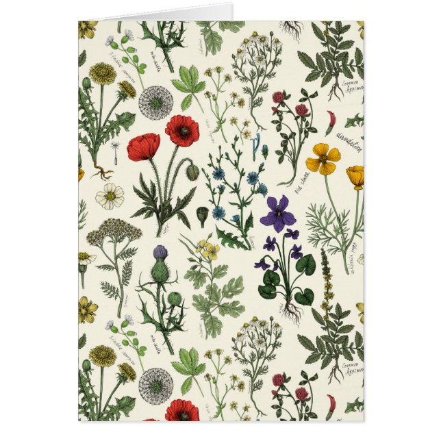 Cartão Wildflowers collage (Frente)