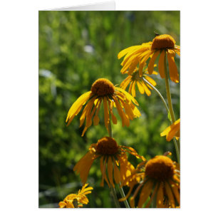 Cartão Wildflowers dourados