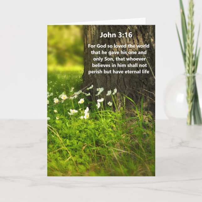Cartão WildFlowers John 3:16 Bíblia Verse Greeting Card (Frente)