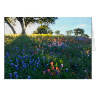 Cartão Wildflowers na luz da noite