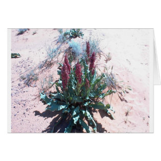 Cartão Wildflowers roxos