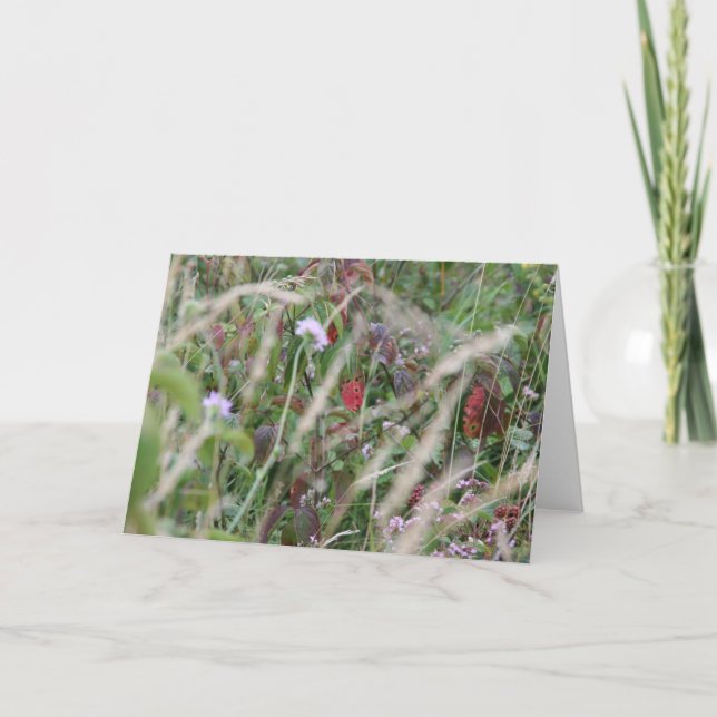 Cartão Wildflowers, Surrey Hills Greeting Card (Frente)