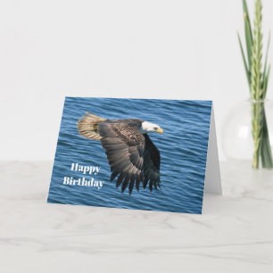 Cartão Wildlife Bald Eagle Foto Birthday