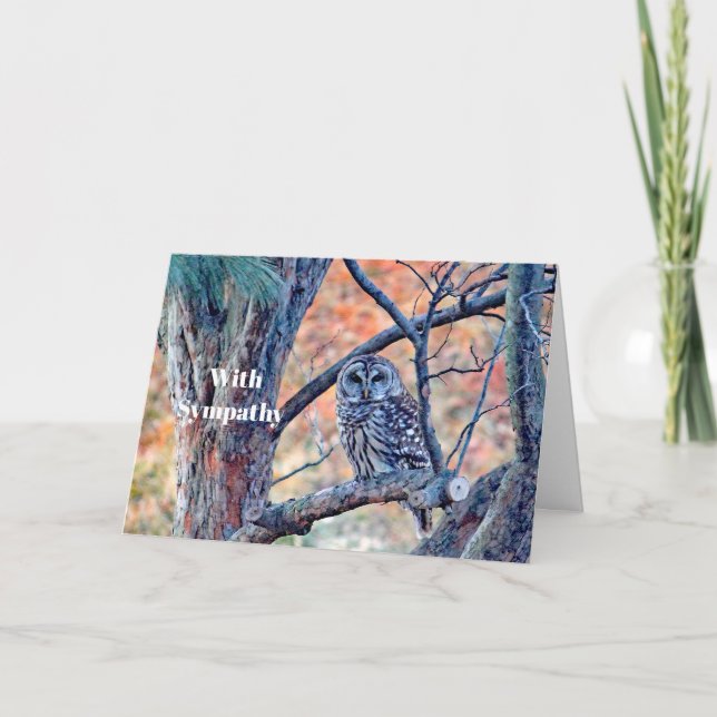 Cartão Wildlife Barred Owl Tree Photo Sympathy (Frente)