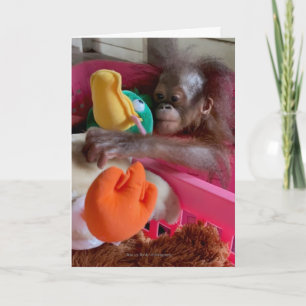Cartão Wildlife Blank Cards:Baby Orangutan Grabs Toys 